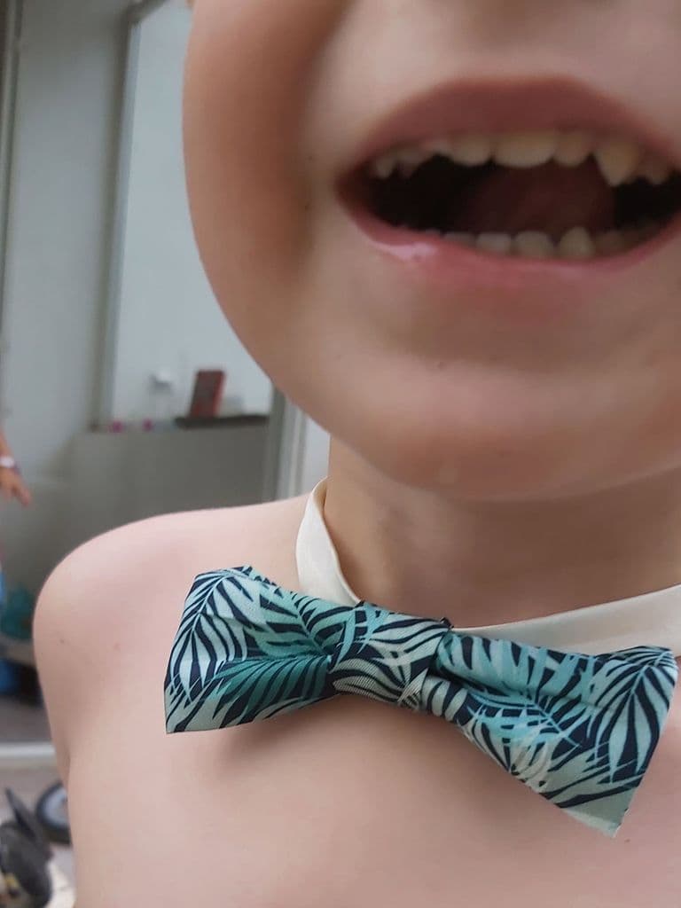 Nœud papillon adulte ou enfant